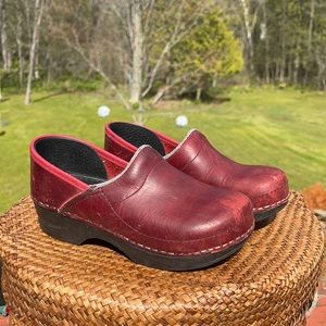 Sanita Kids clogs red 31 (13)